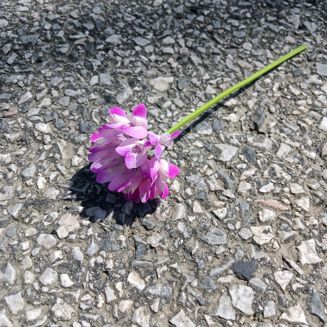 ☀指尖透过的光🍀