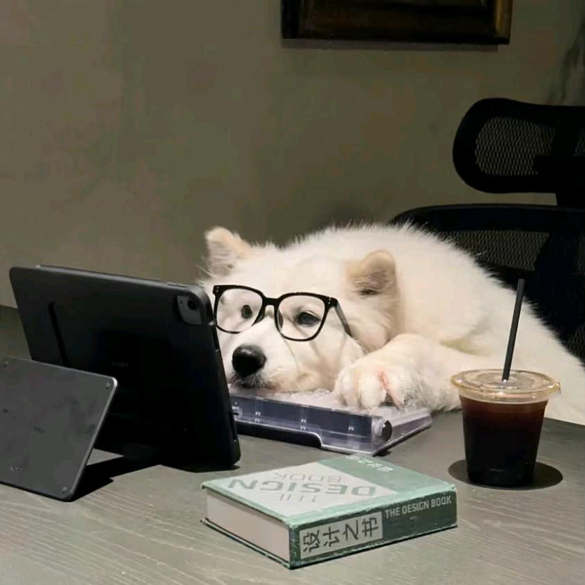 养乐多·耀眼🔥