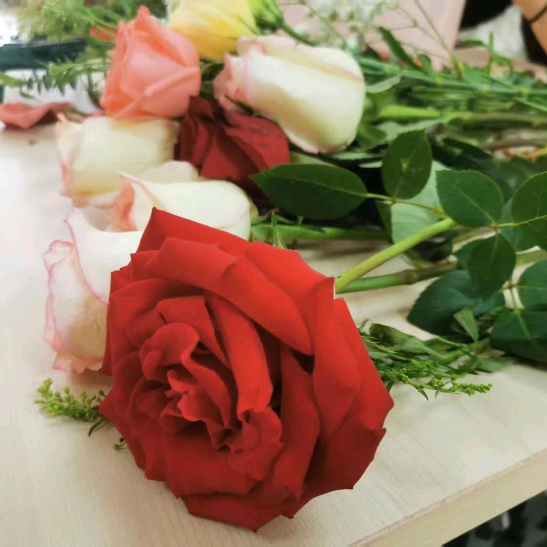 杰🌹🌹🌹