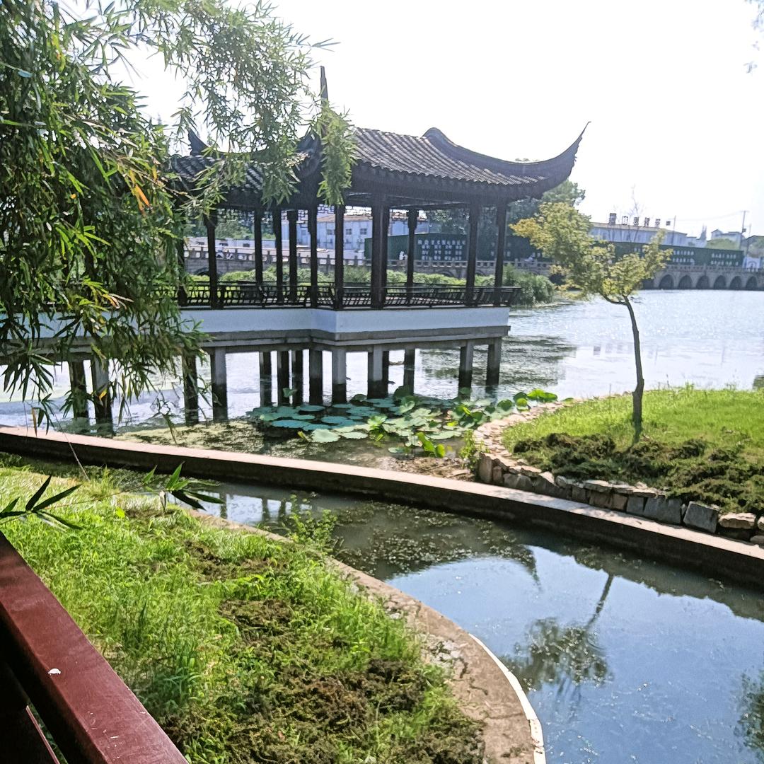 随心