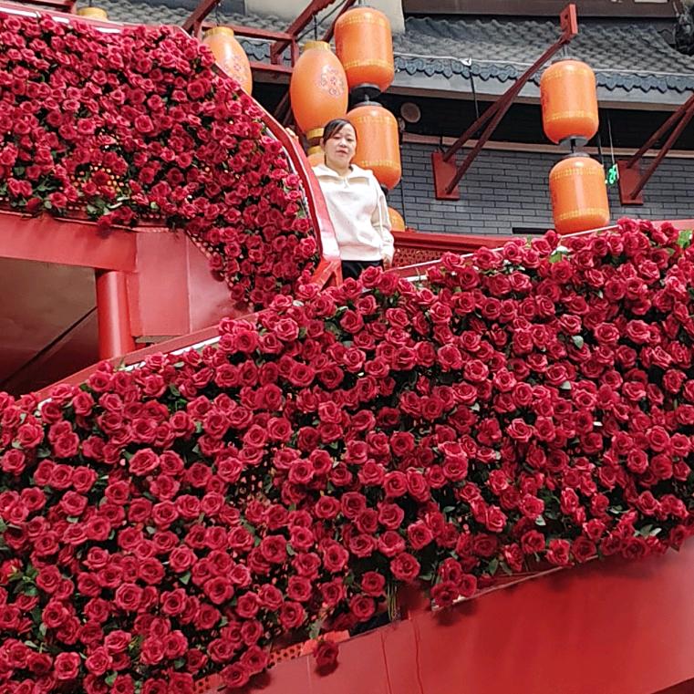 梦梦呀