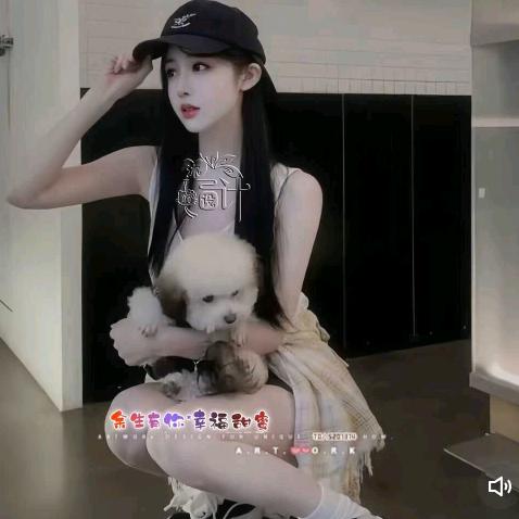 🍷静🍷静🍷小🍷龙🐲