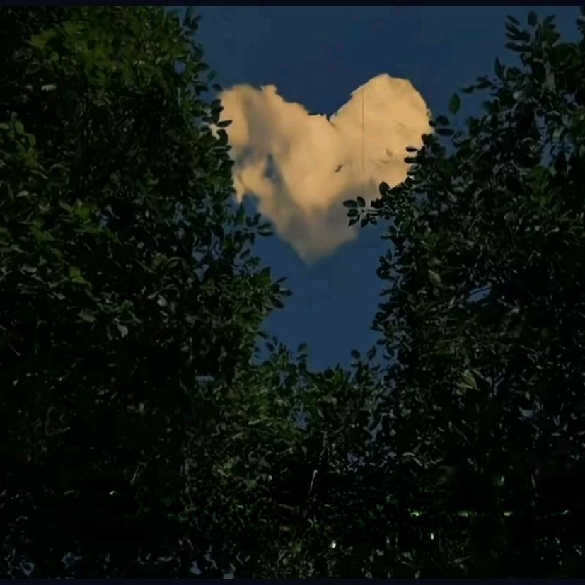 爱吃巴达木的精神病！