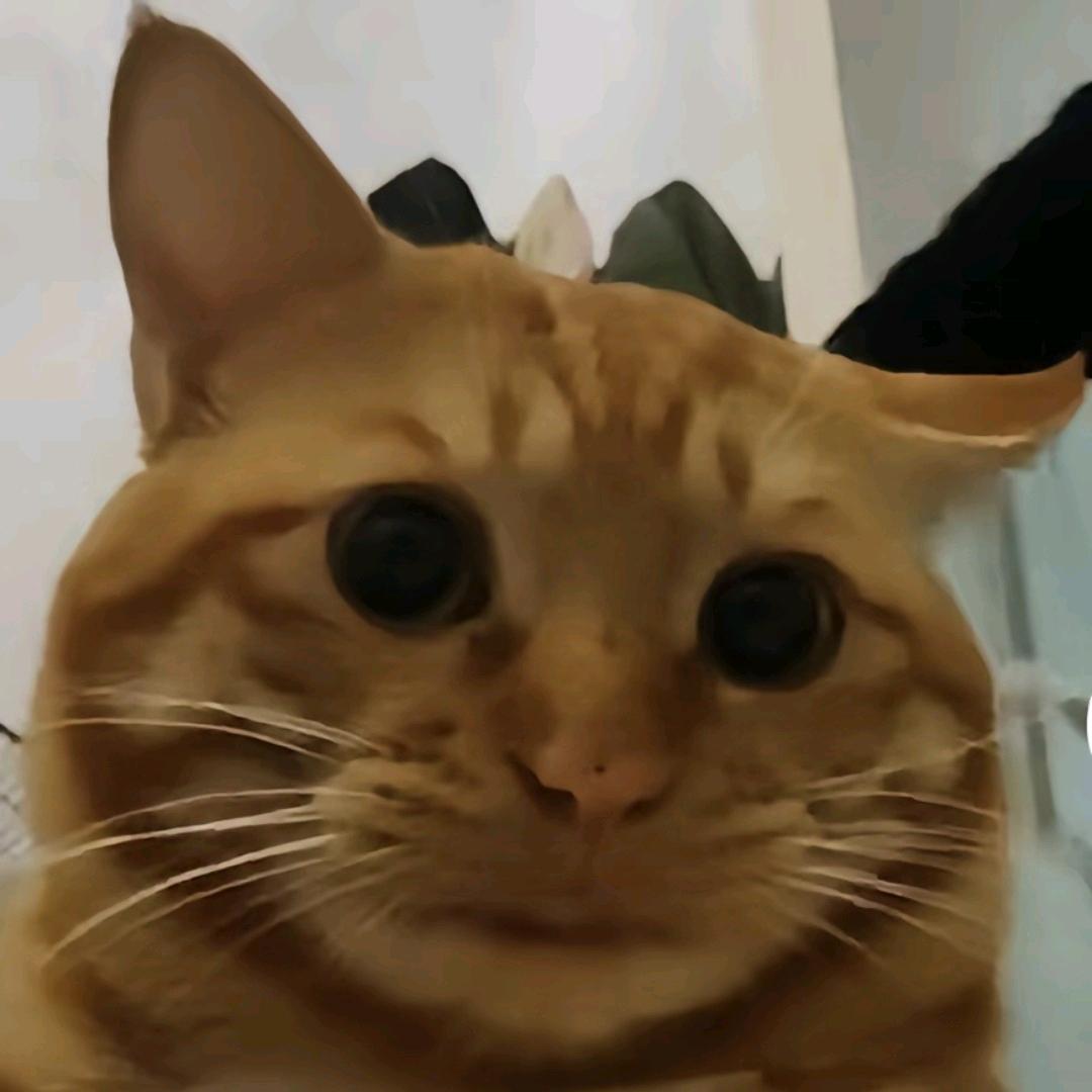 LZL