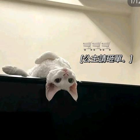 小杨穿什么