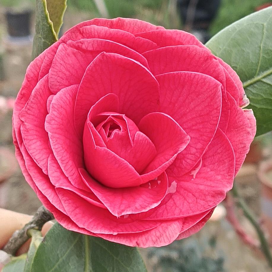 闫师傅太阳能热水器，清洗，维修…