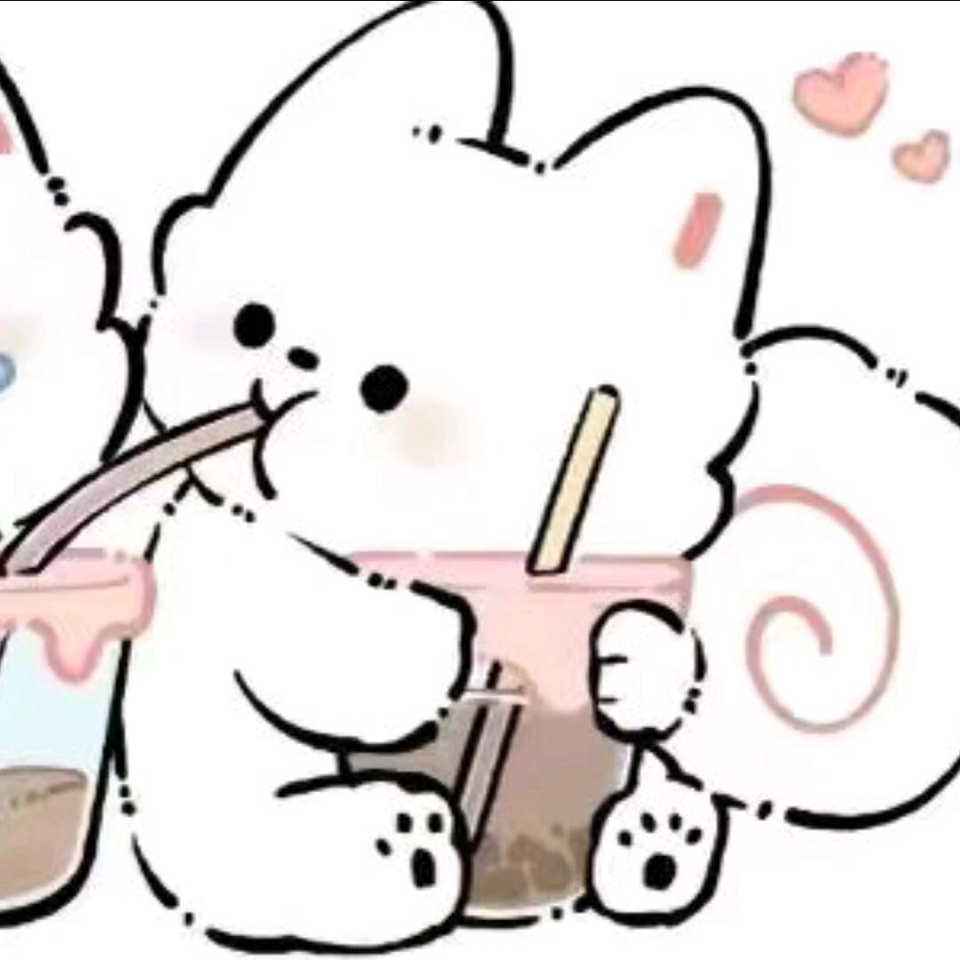 自由曲