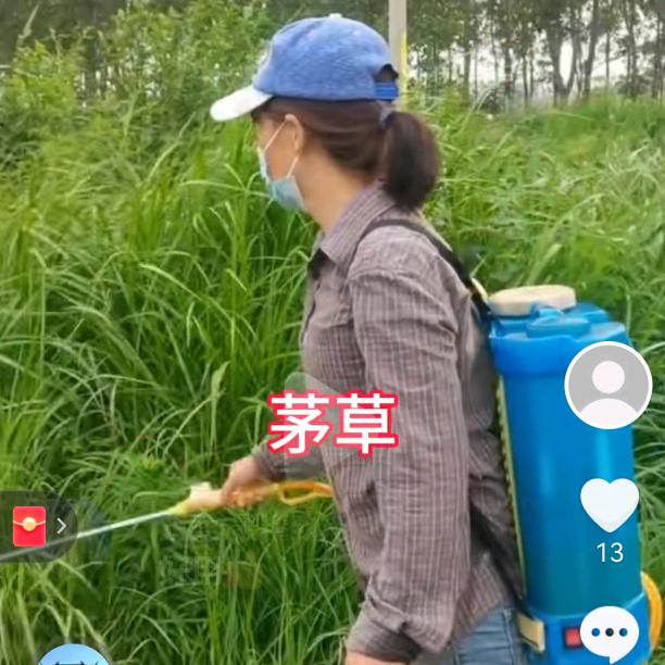 农村小芳