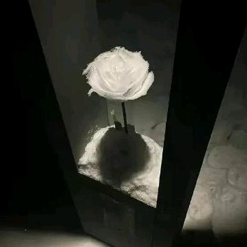 花开时再重逢