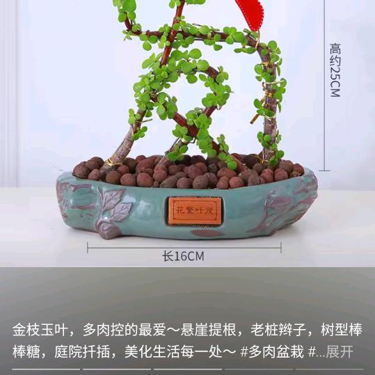 听雨…