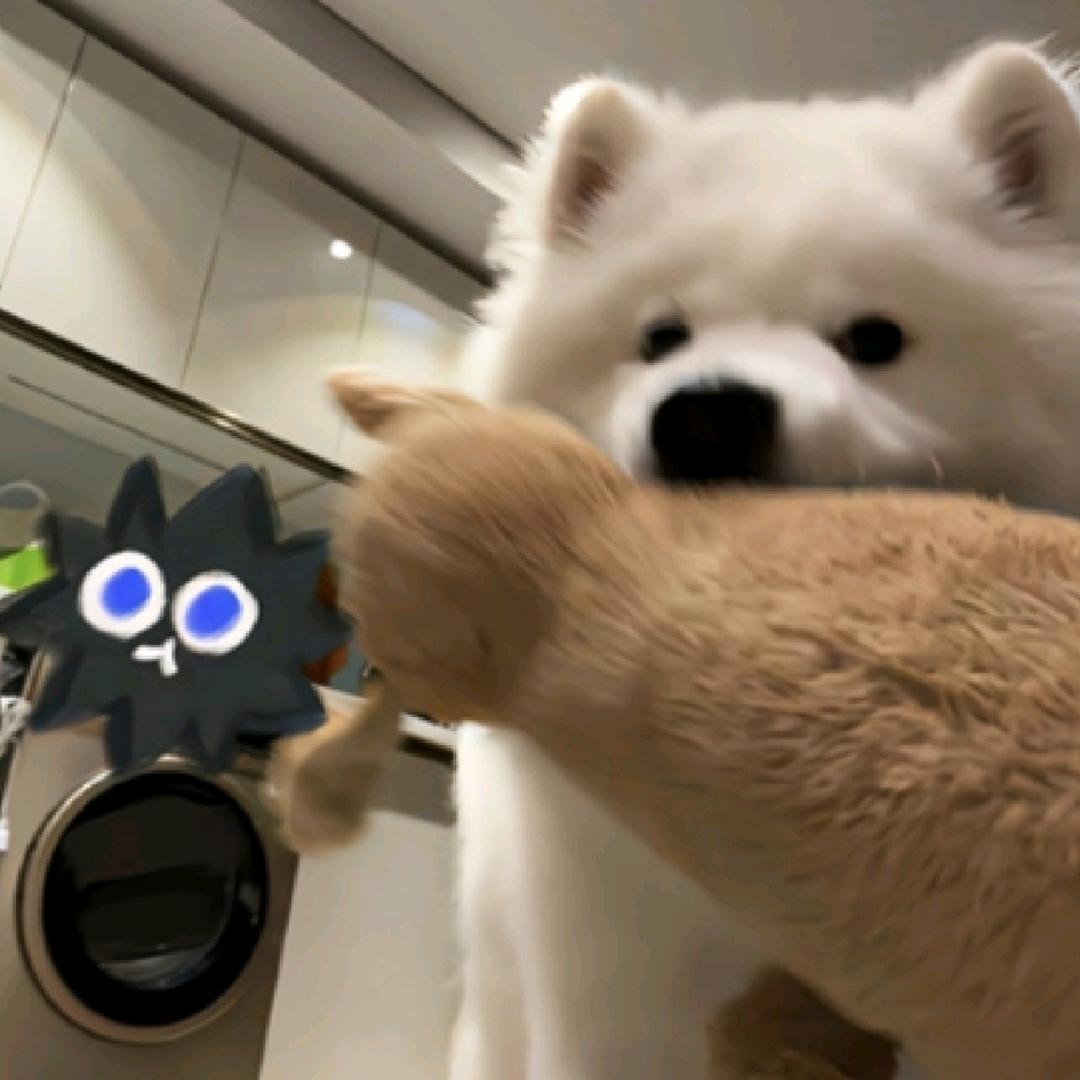 银河游泳健身-康康