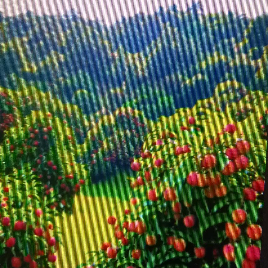 当季水果优选