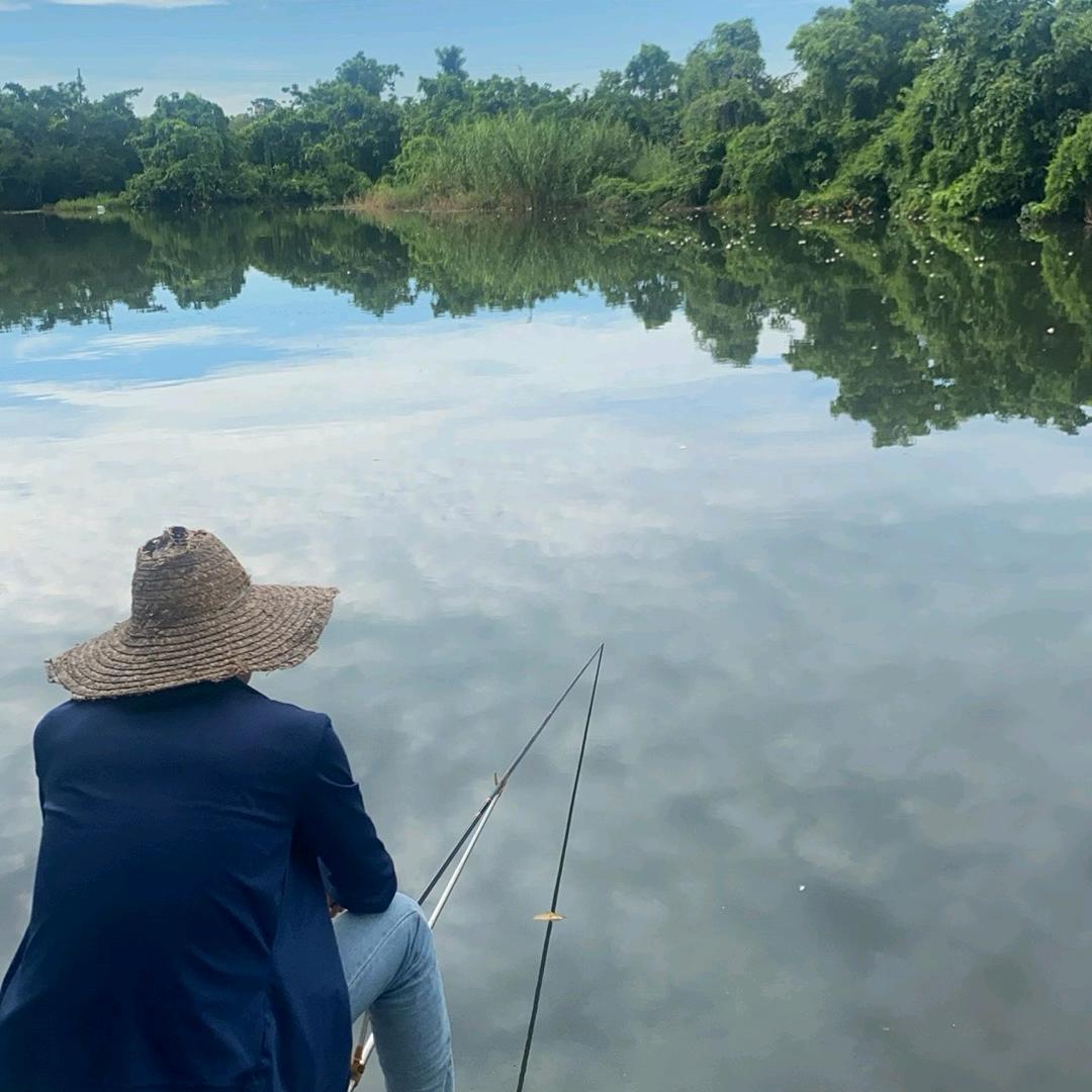 刘哥爱钓鱼🎣