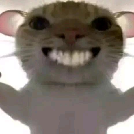 三角洲-胆小鼠鼠爱修腿