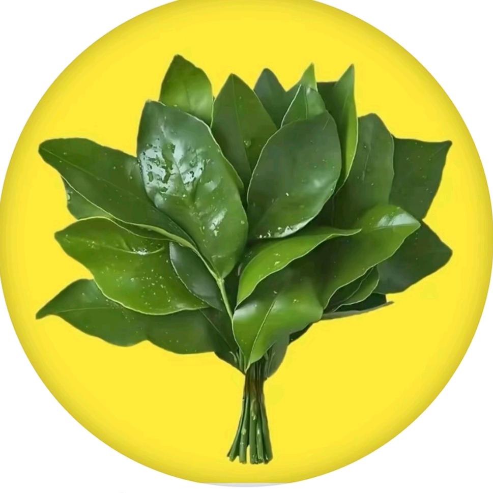 清风漫步