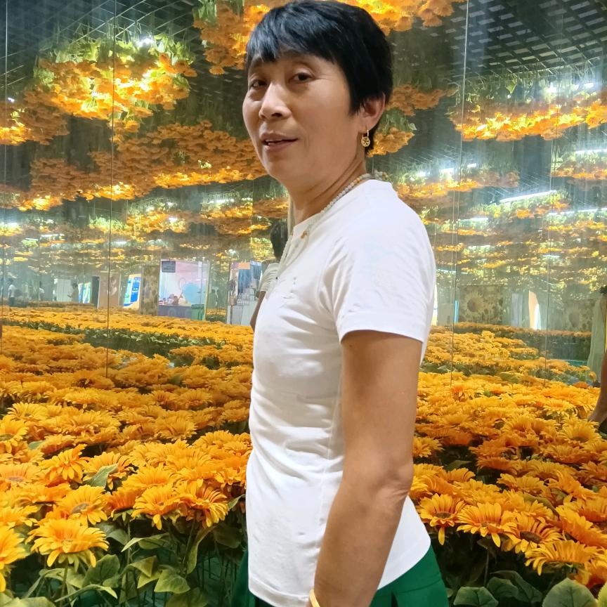 王太君