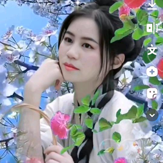 飞儿