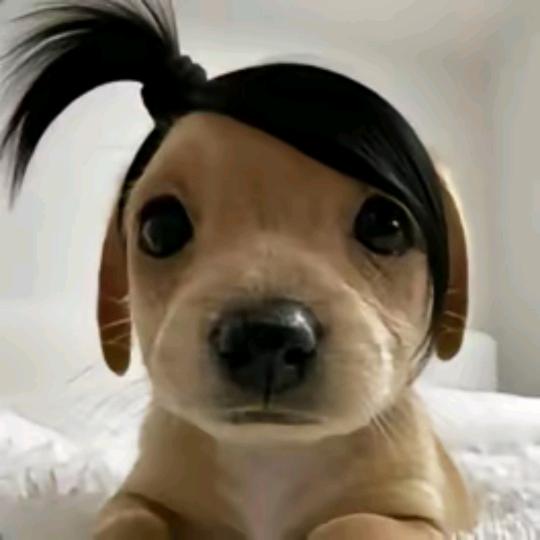 白桃果粒汁
