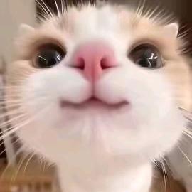 手机用户62748010549