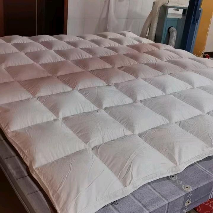 鄭庆隆