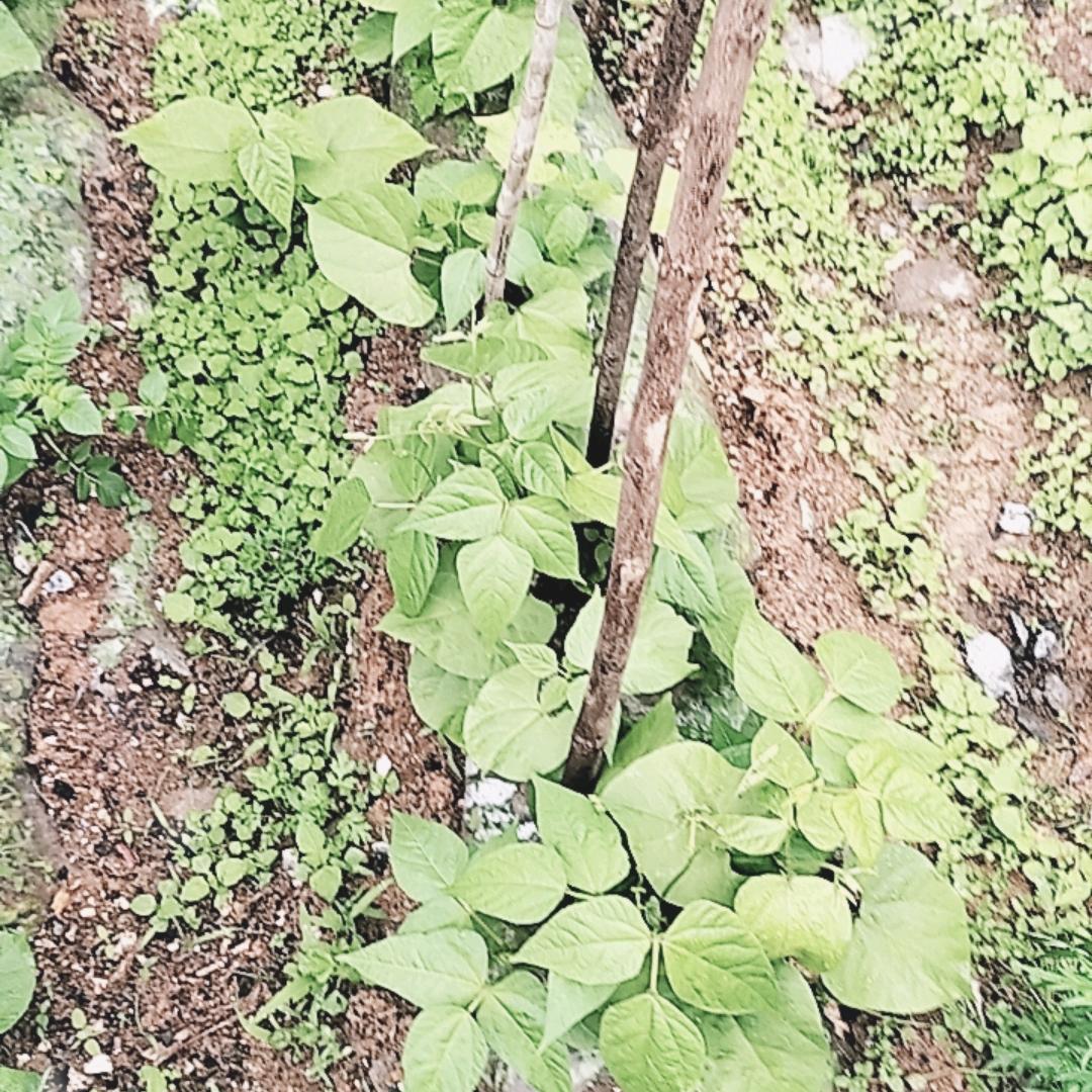 同等对待