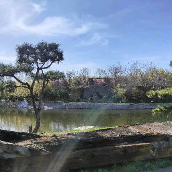 阳光