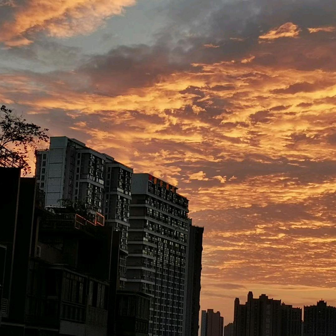 白