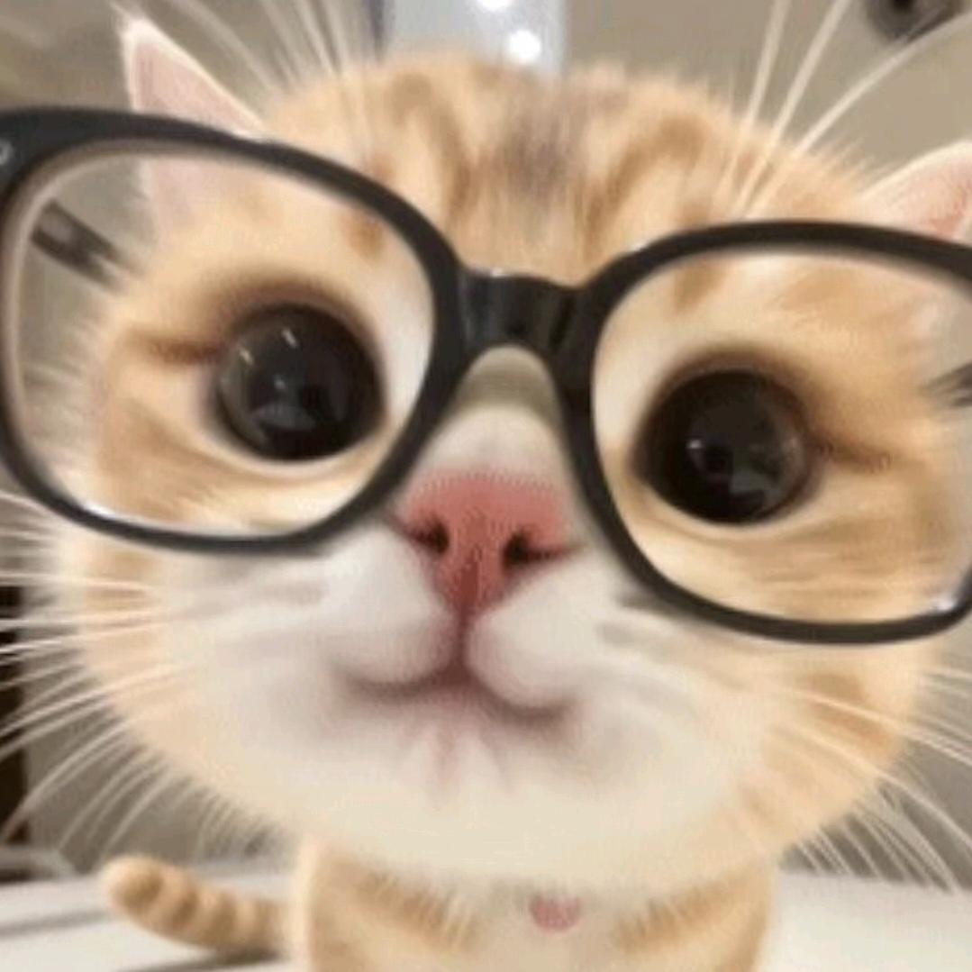 要养一只小荔枝🐱
