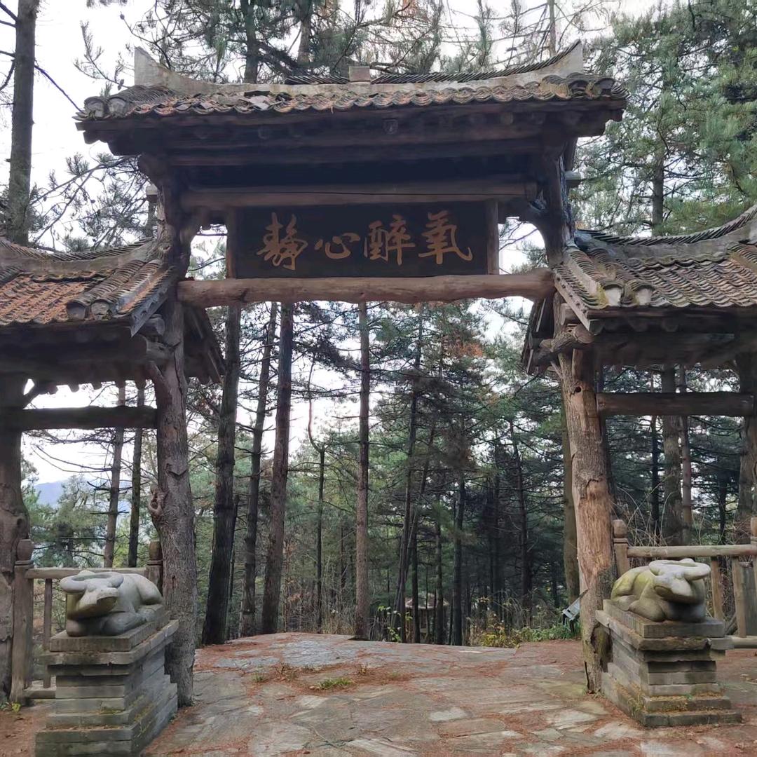 丰镐沛哥