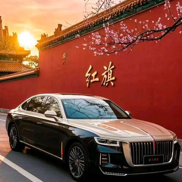 专业摄影师南哥