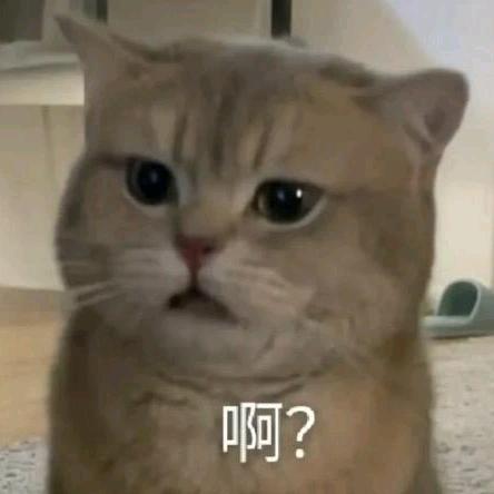 立可一心