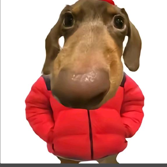 我爱学习