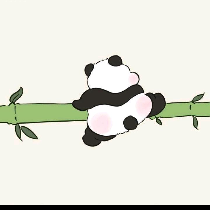 轩仔