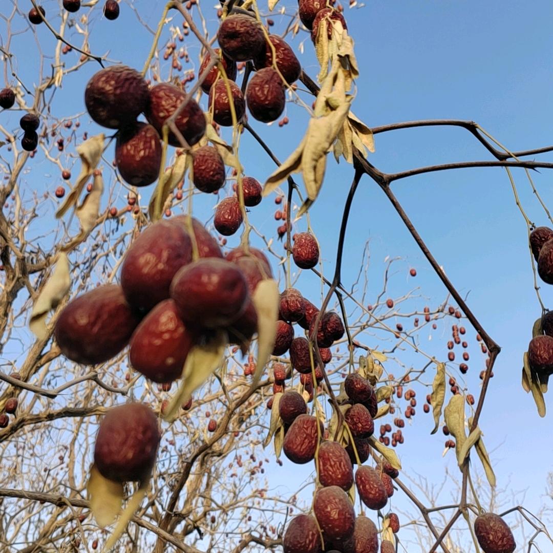 图木舒克市国喜臻选铺