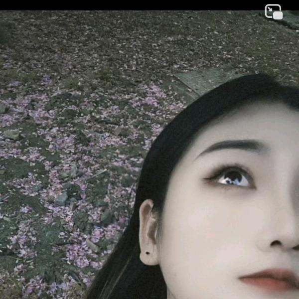 @晓R睡不醒