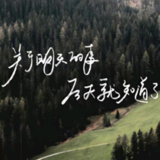 芹姐