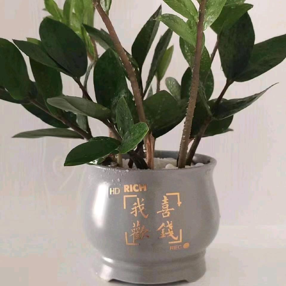 好运ঞ常在💕࿐