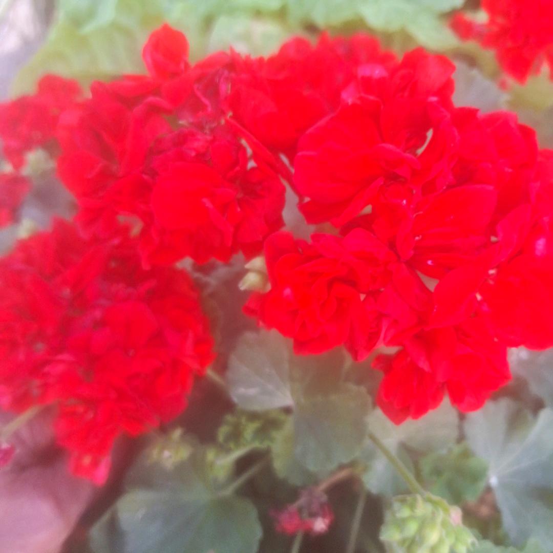 有你，明天好约