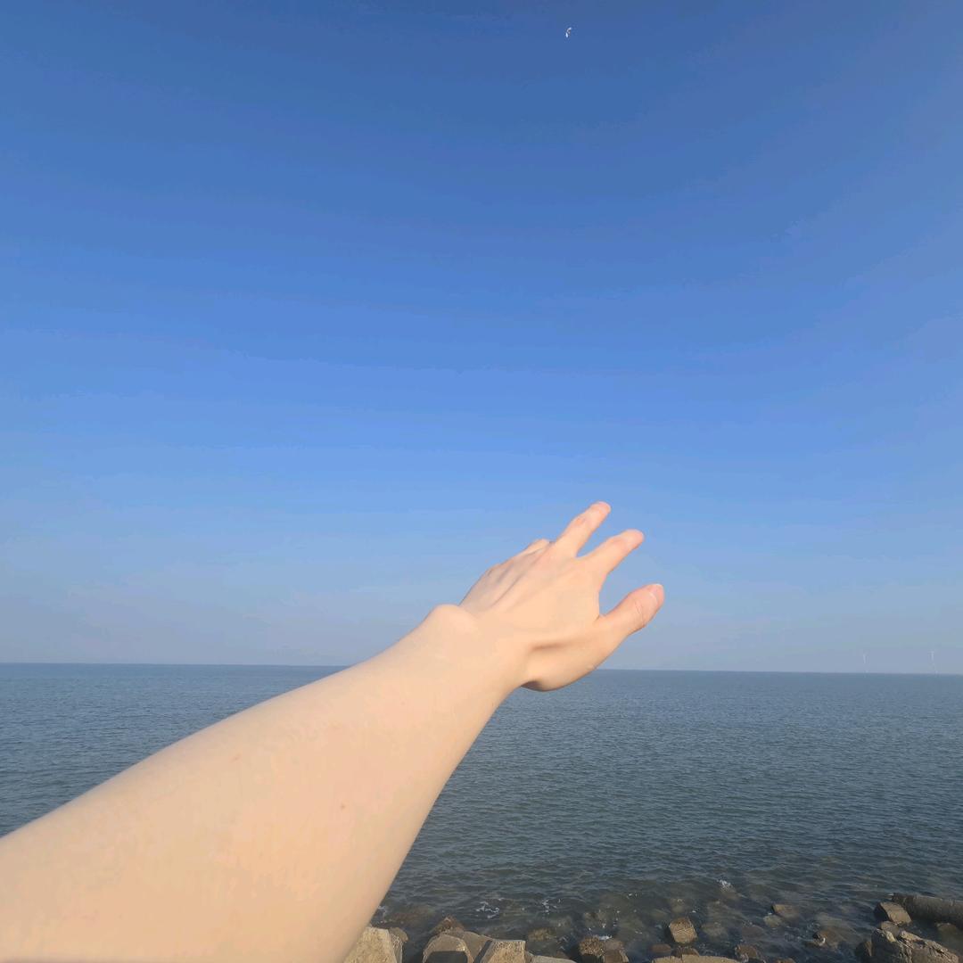 YOLO