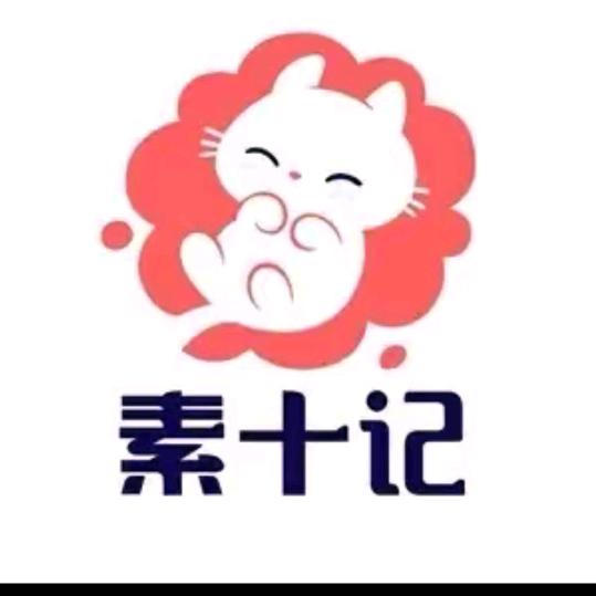 素十记六号