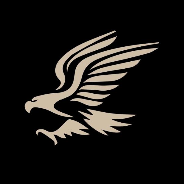 鹰骁🦅