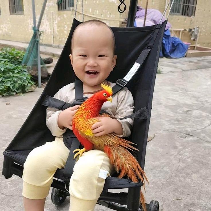 小主中（香港）