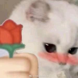 ✨筱✨澜✨沧✨