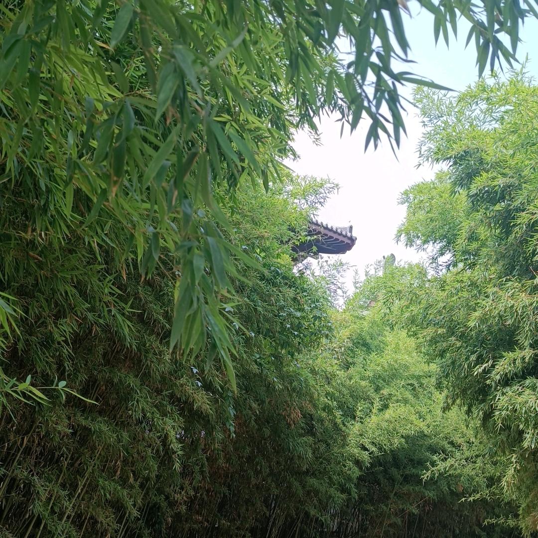@云烟成雨