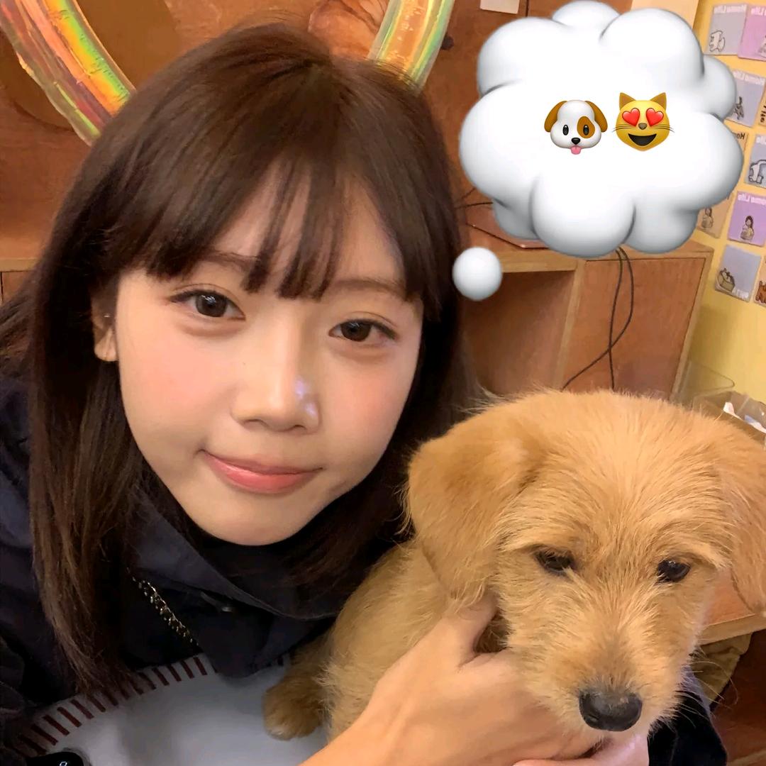 等一下嘛（家有神兽🐒盘底）