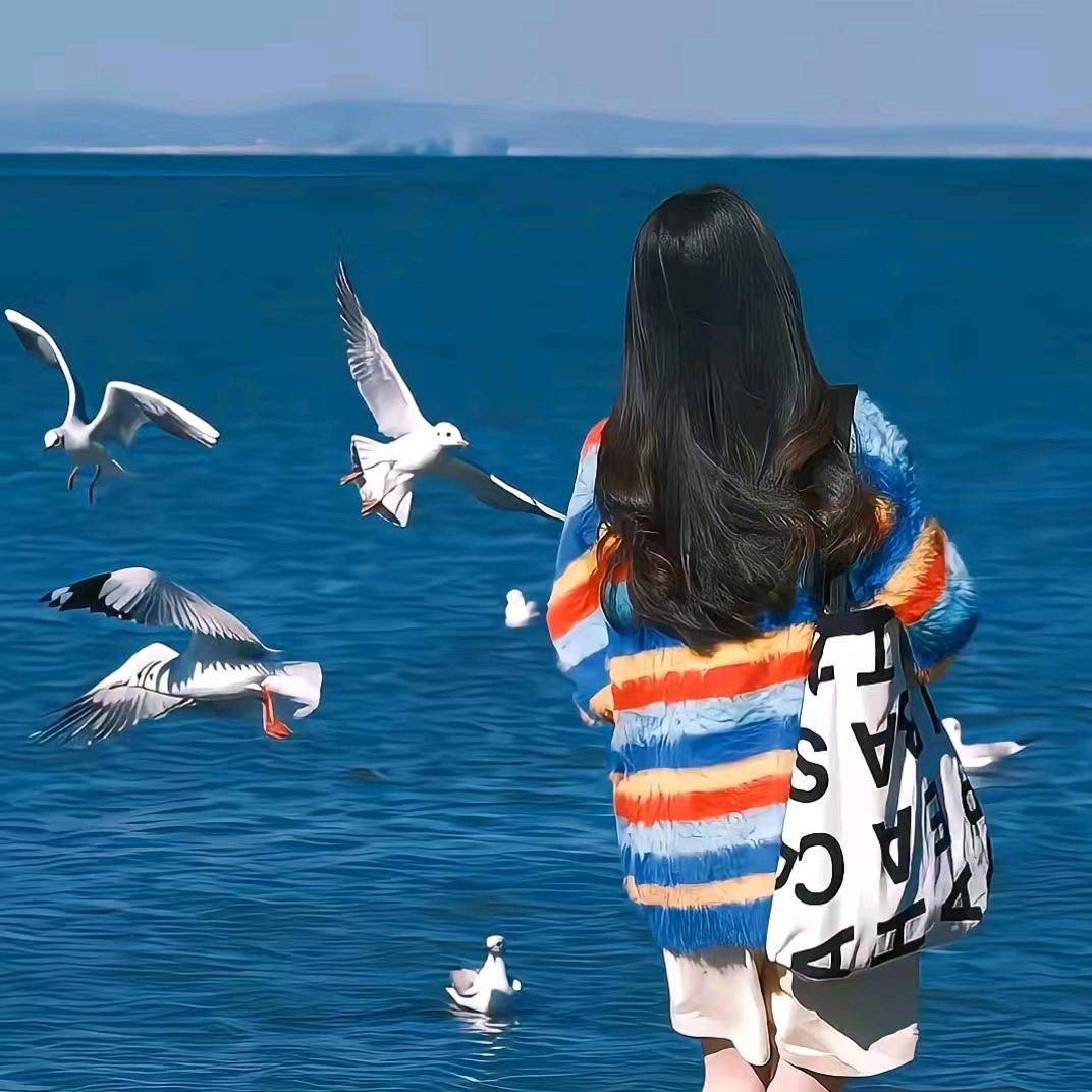 知序@