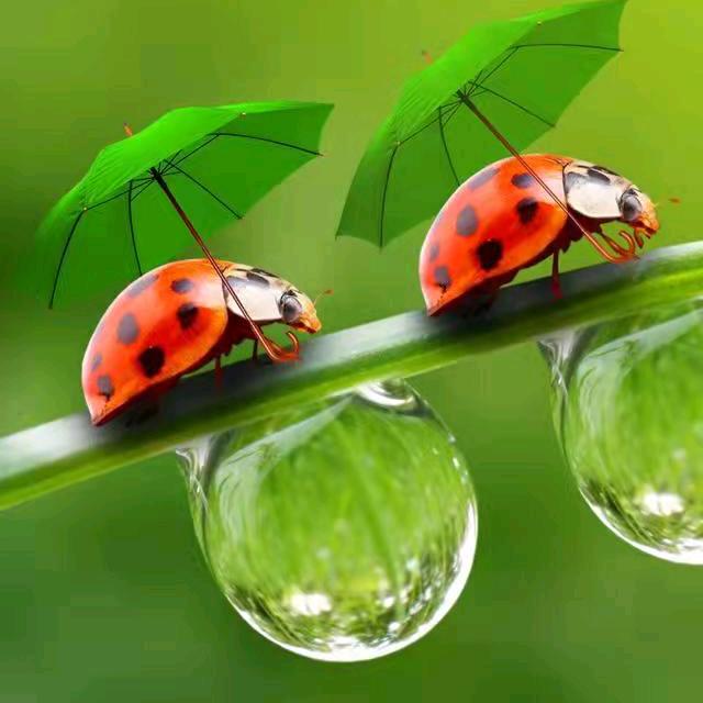 ꧔ꦿ℘黑色💞᭄᪲ᩚ꯭ᩚ眼泪꧔ꦿ᭄