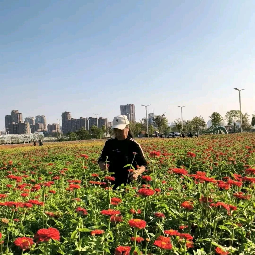 爱上曳舞高美珠