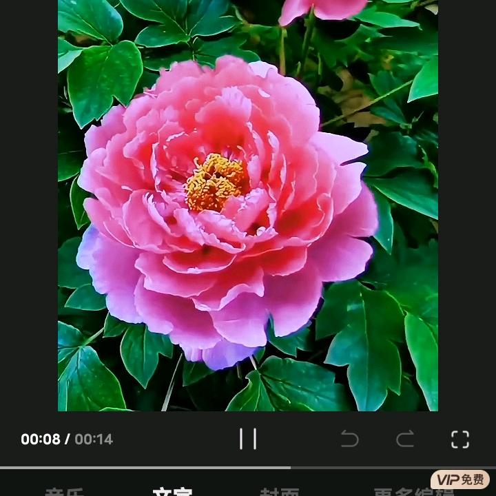大滴