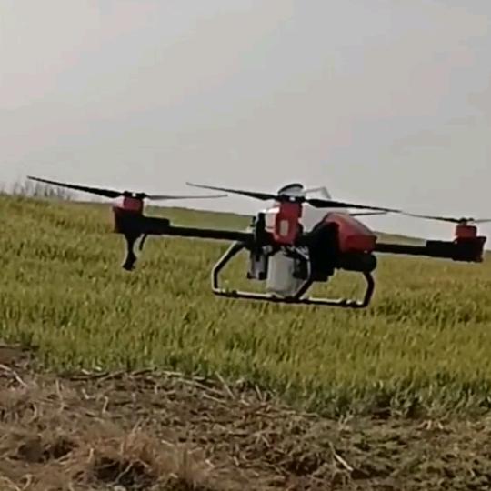 无名